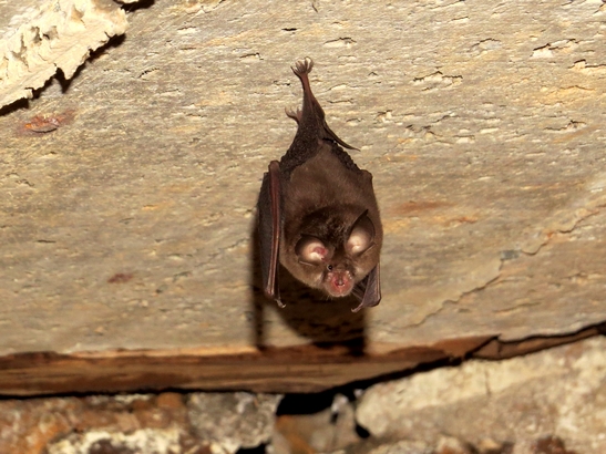 Parc du peuple de l’herbe
